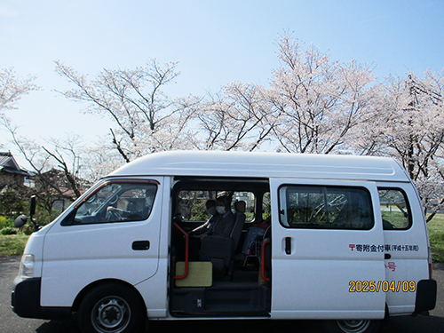 お花見ドライブ