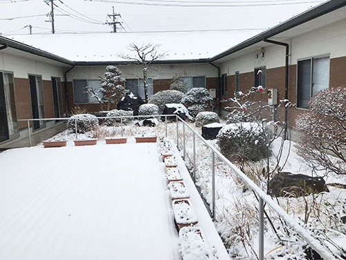中庭の雪景色